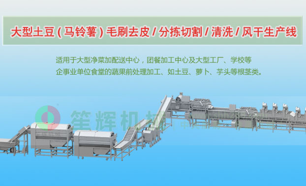 犍为连续式土豆去皮清洗切割风干生产线